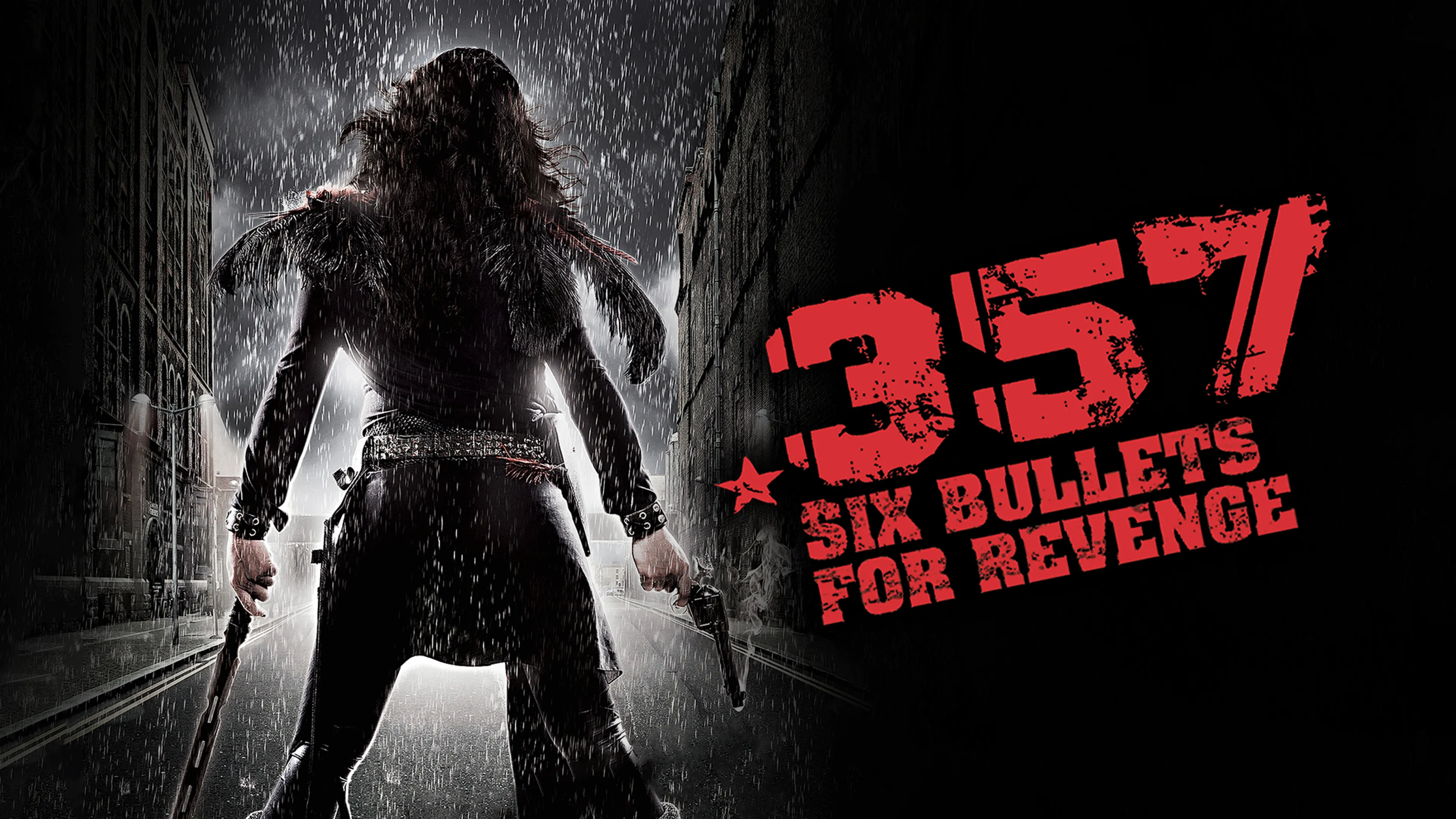 .357: Six Bullets for Revenge poster